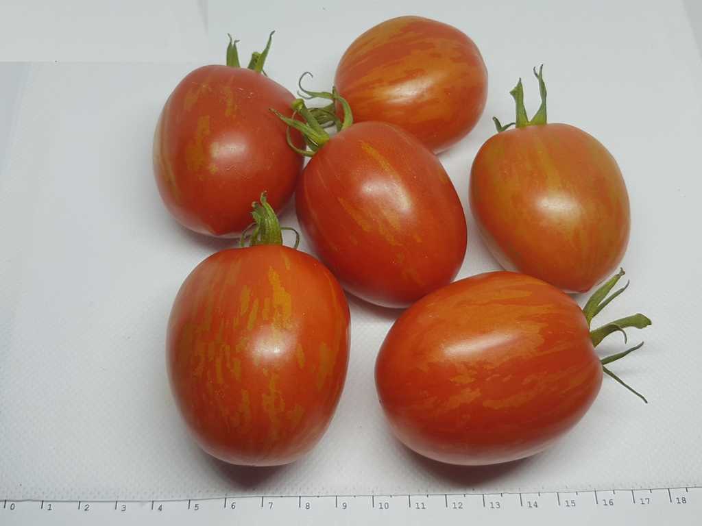 Påskägg - Pashalnoje jajzo